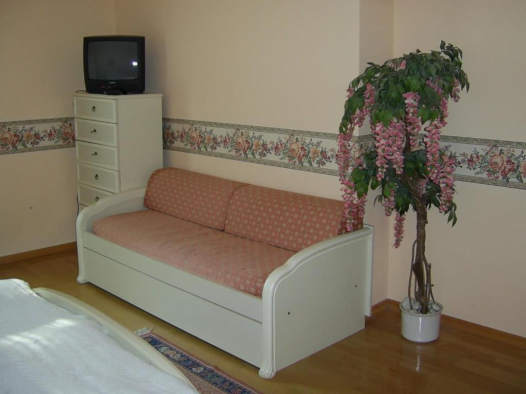 Pension Sejko Horní Planá 部屋 写真